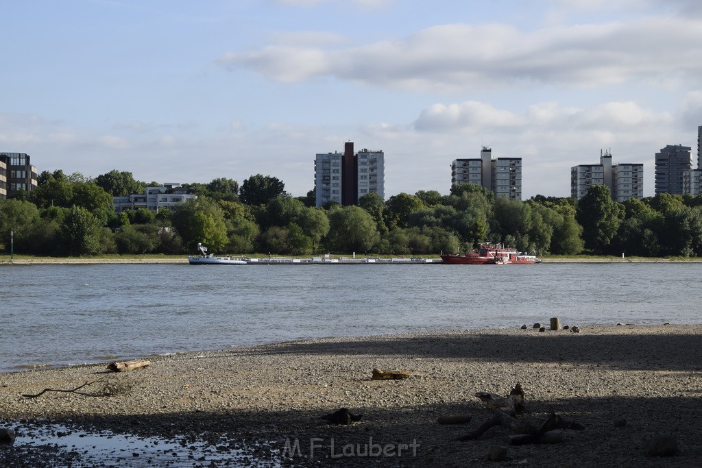 Schiff 1 Koeln in Hoehe der Koelner Zoobruecke P004.JPG - Miklos Laubert